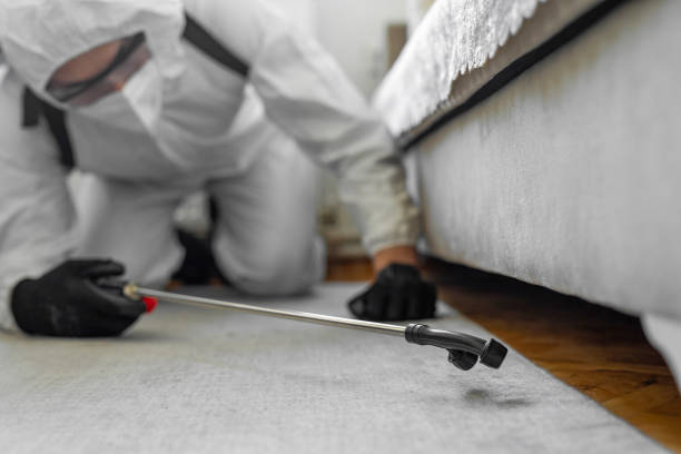 Professional Termite Control technician working in Pennington County County, MN